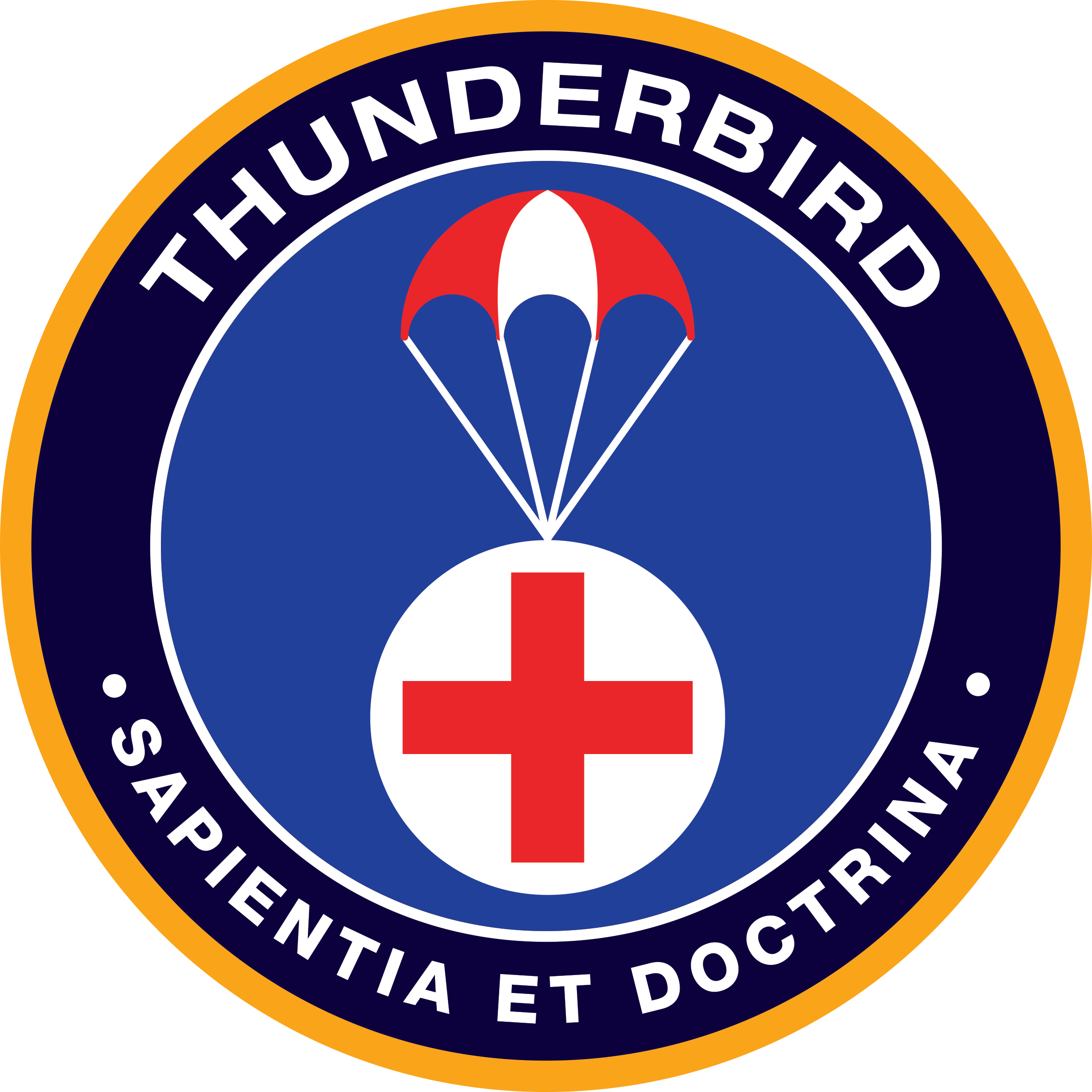 THUNDERBIRD-FA-OUTLINE